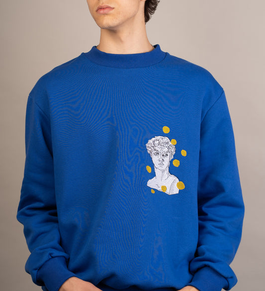 Men's graphic sweatshirt with David seeing spots embroidery
