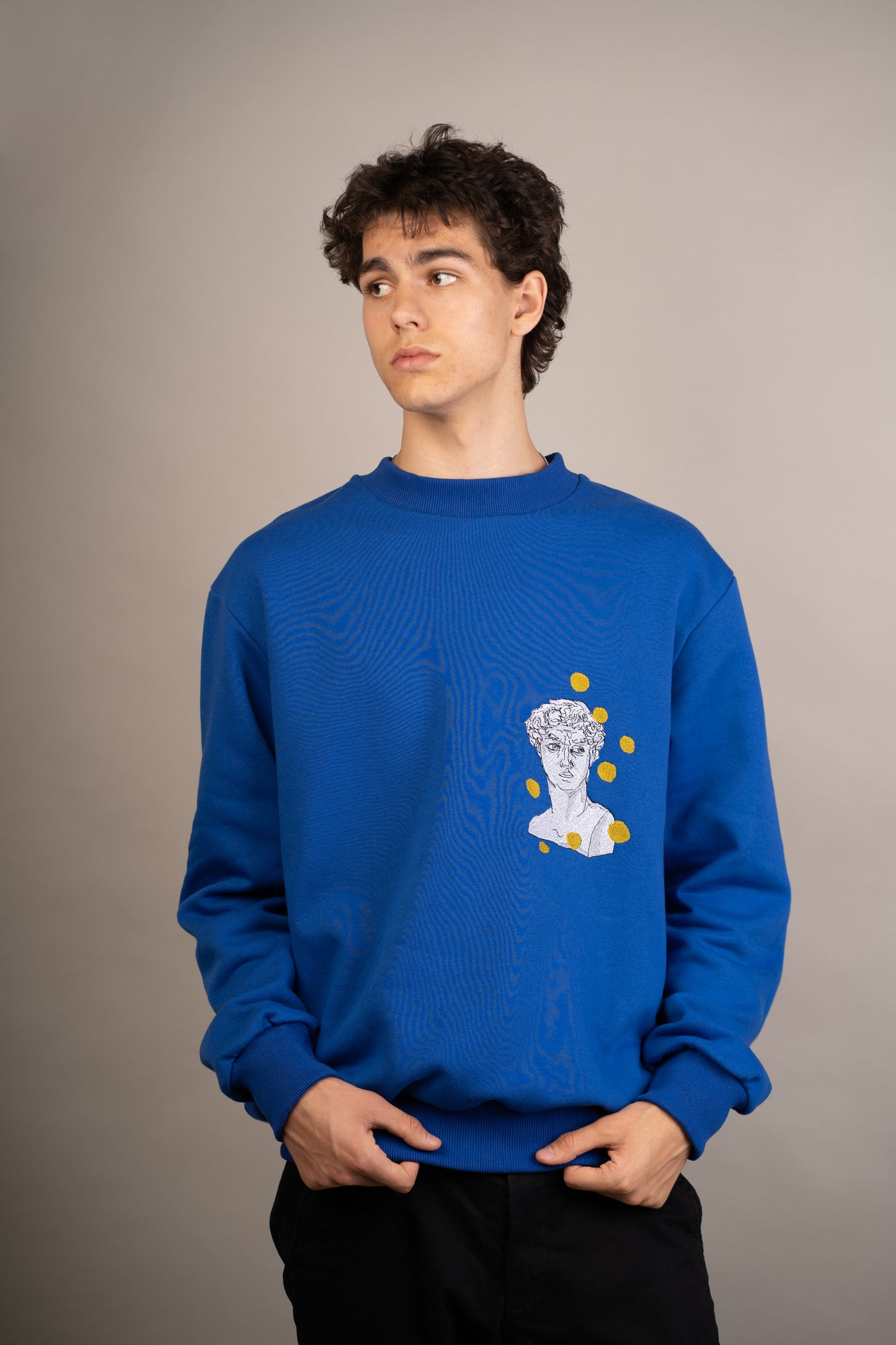 Men's graphic sweatshirt with David seeing spots embroidery