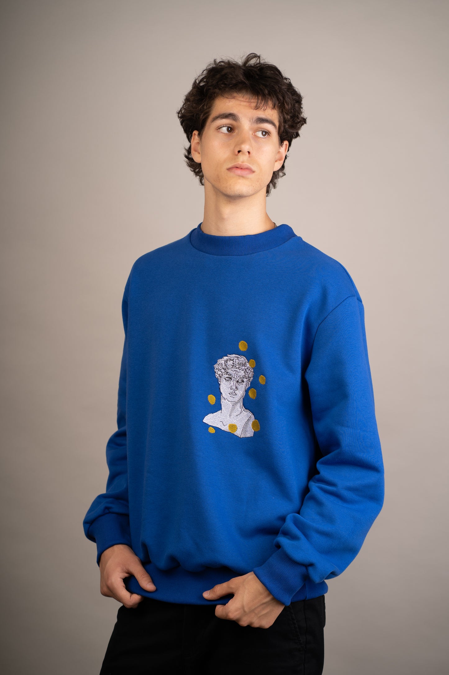 Men's graphic sweatshirt with David seeing spots embroidery