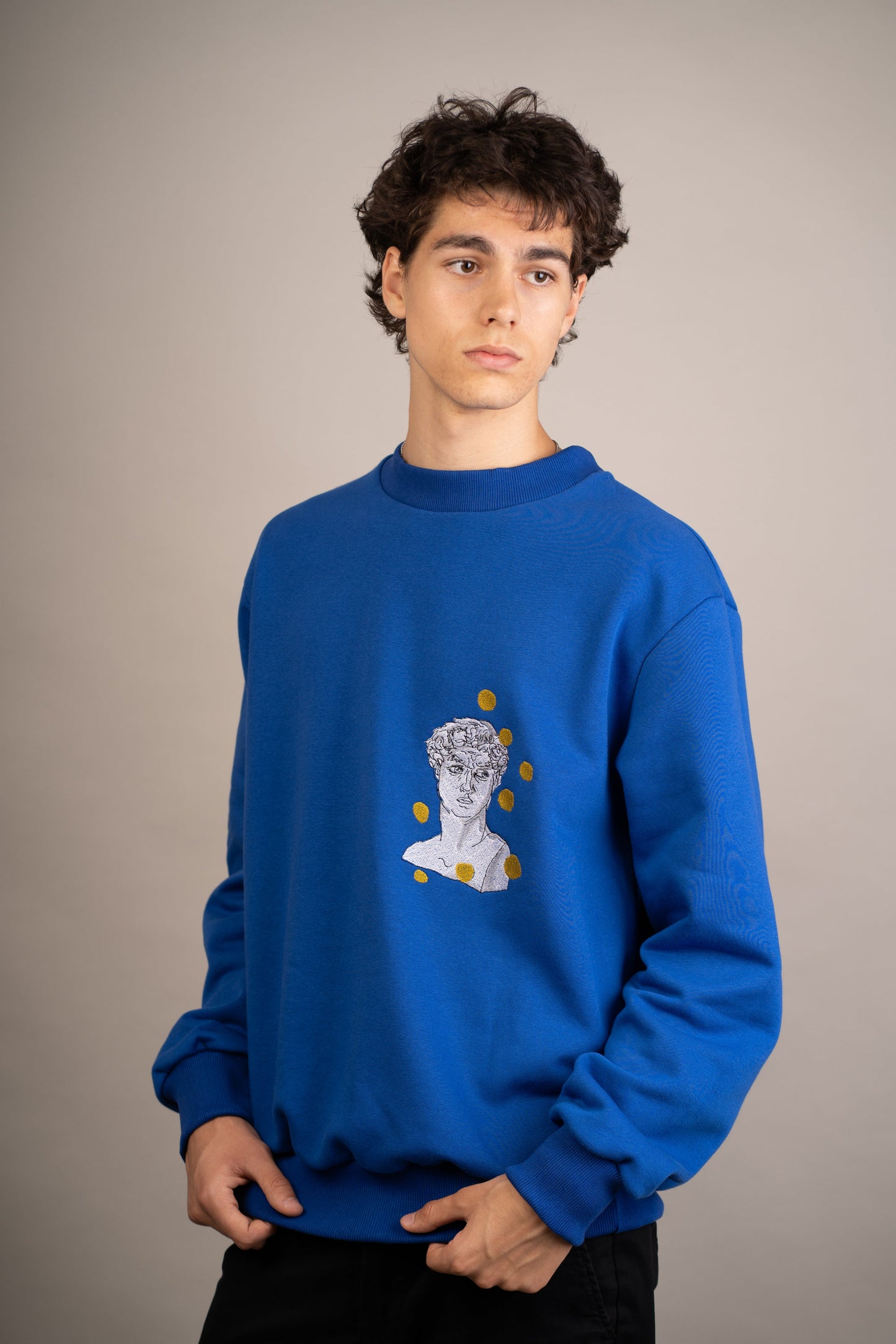 Men's graphic sweatshirt with David seeing spots embroidery