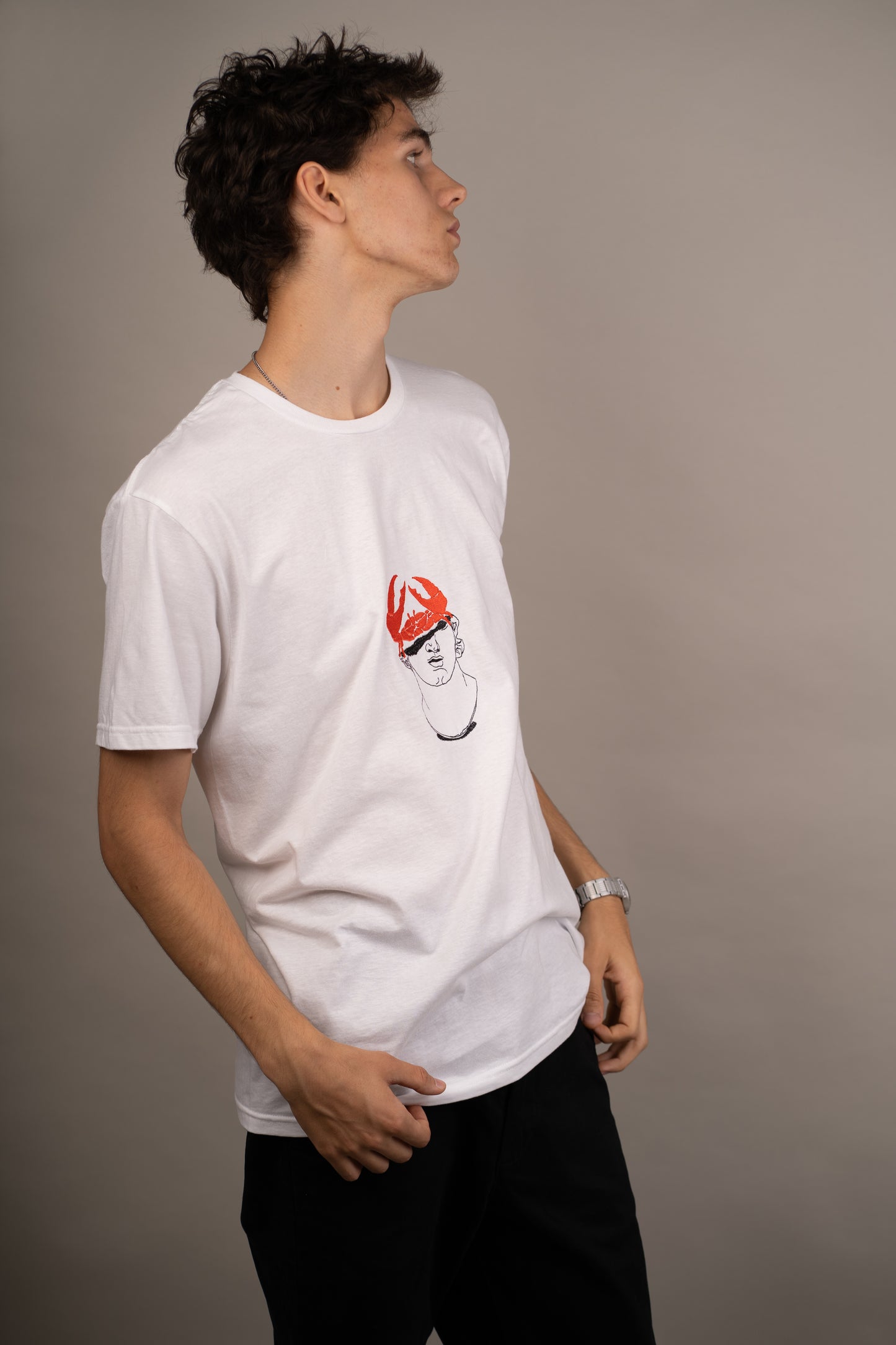 Men's graphic T-shirt with crab on statue embroidery